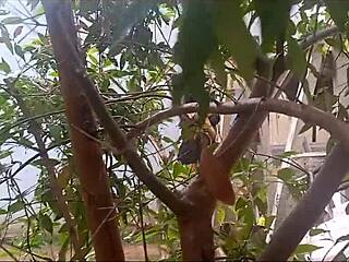 ¿Me pilló detrás de las flores? ¡El joven Flakael al fin me dio duro!