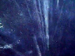 In the quiet room, a man indulges in solo pleasure with his cock, stroking rhythmically to build intense sensations.