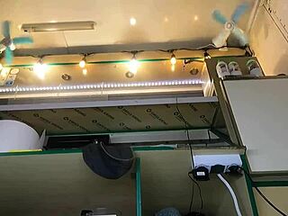 Morena Sexy Pegada na Cam Voyeur, Saia Levantada!