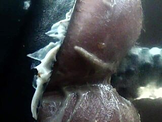 2022年5月1日与Patty的硬核BDSM拳交让我颤抖