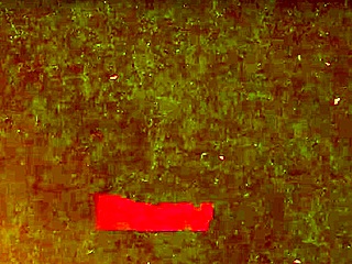 Dostum, İnanamıyorum, Pervnana’nın Sarışın Ateşli Milf’i Kocaman Göğüsleriyle Dev Yarrağı Yutuyor ve Yüzüne Boşalıyor!