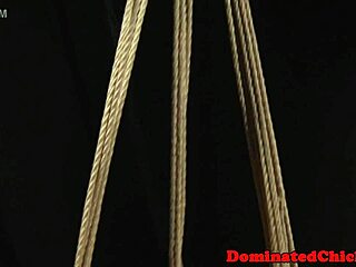 obesni rob, hoćeš da vidiš kako me jebu žestoko u dupe otpozadi?