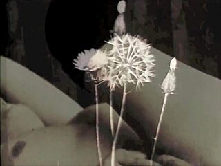 Hey, vintage interracial threesome with anal and blowjobs 😏