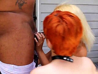 nadia white and ava little 18+ give don whoe sloppy head in the backyard super hot films