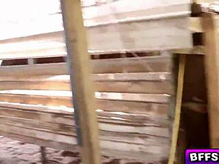 naughty cowgirls sucking a thick treat deep