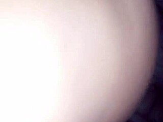 Exploring Rhode Island's Ice Adventures