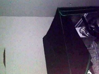 Exploring Rhode Island's Ice Adventures