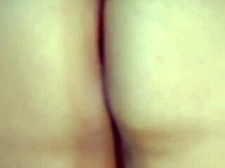 Que Rica Culiada Antes De Dormir!