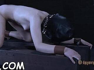 Femdom domination and bondage a babe Dom with a GAGGED AND BOUND & SUCKINGΔ