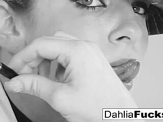 Hot Dahlia Sky Solo Fun
