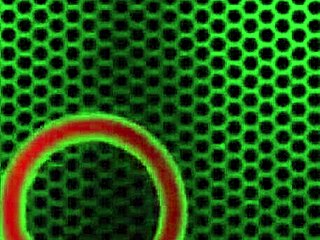 ไรลีย์ เรเยส และเคนดรา โคล ผลัดกันดูดควยแข็ง ดูดและรูดมันอย่างบ้าคลั่ง 😜