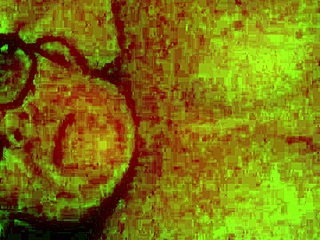 Chelsea shares her solo moments with us.