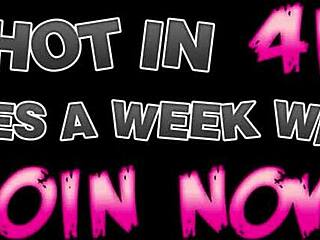 Hej, bi se uprl tej ebony lepotici Harley Dean?