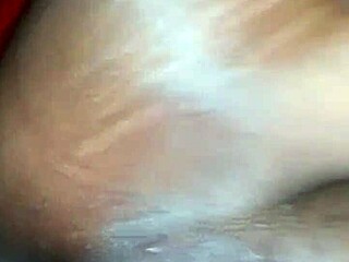 fun time with a tattooed pornstar today