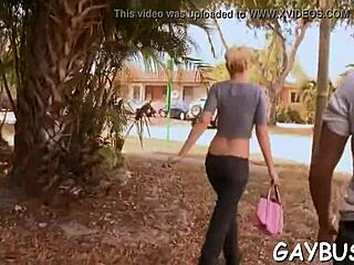 wild cock sucking contest in the car