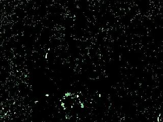 She's really enjoying that big dildo toy