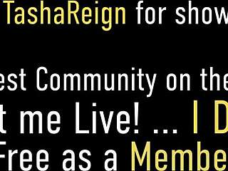 سبنسر سكوت تسيطر بالألعاب في جلسة كلام قذر مثلي مع فتاة نحيفة