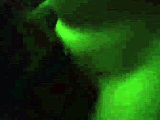 Dark seduction leads to Stormy Reyn's amateur pussy squirting wildly during lesbian lick session.