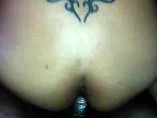 encountering bibi part two