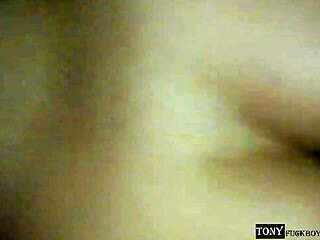 oh i mistook the hole sorry better ride me to avoid another painful anal accident