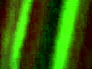 Anna Polina Explores Triple Pleasure With Friends