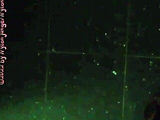 Strange Condom Found in Mailbox Mystery