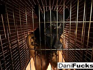Dani Daniels, A Bitch In A Cage!