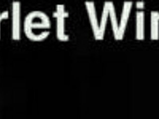 McDonald's Guy Receives Deepthroat From MILF As Reward