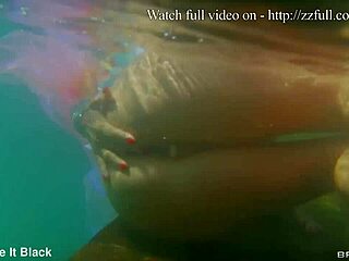 Alexis Fawx delivers POV blowjob and cumshot