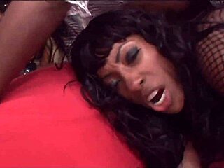 Pornstar RIDES monster cock HARD in wet pussy!