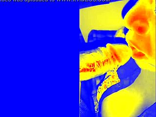 in a homemade pov, bbw blonde gives sloppy blowjob to big black cock, ending in cumshot