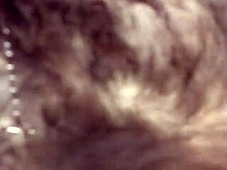 What happens in this hotel with a slut?