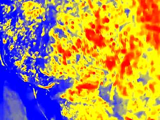 in a homemade pov, bbw blonde gives sloppy blowjob to big black cock, ending in cumshot