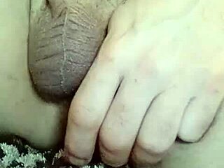 want to see amateurs giving blowjobs?