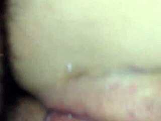 Amateur Escort Services for Professional Companionship