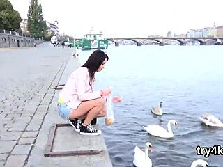 Γεια, δες αυτή την γλυκιά να πιπιλίζει σε POV και να χτυπιέται δυνατά!