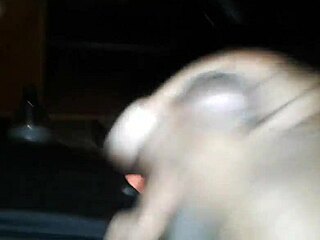 for all you blk cock whores sissys homos twinks and my bbws worldwide