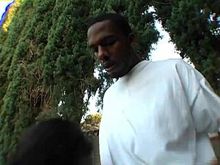 Outdoor hardcore scene with black babe sucking and receiving facial cumshot.