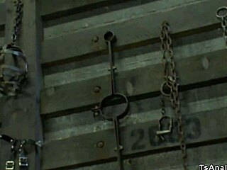 ever wonder what happens when a shemale dominates a guy in a dungeon?