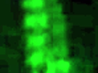 Personal-Error lower case 4 words oral fucking sexy latina petite 18+ amateurs tits ass natural tits orgasm