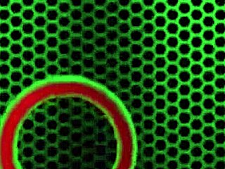 Maxine x teases richard manns with her mouth skills