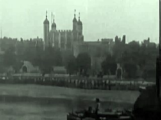 step into the captivating era of vintage adult films with hairy mature stars