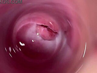 ねえ、18歳以上のティーンおまんこの奥を友達に見せてあげようか？