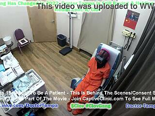 Ali ste že videli, kako doktor Tampa re-edukira Alexandrio Wu v skrivnih kampih?