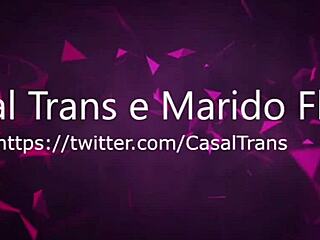 the big-dicked shemale shares intimate moments with the couple