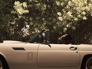 charlotte stokely dee williams aila donovan another night