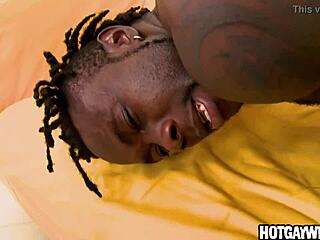 Black Guy Receives White Dick in Amateur Gay Scene