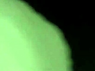 Amateurs Explore Business Adventures