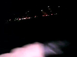 Amateurs Explore Business Adventures