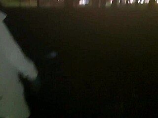 Amateurs Explore Business Adventures